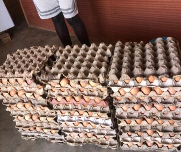 Poultry Project